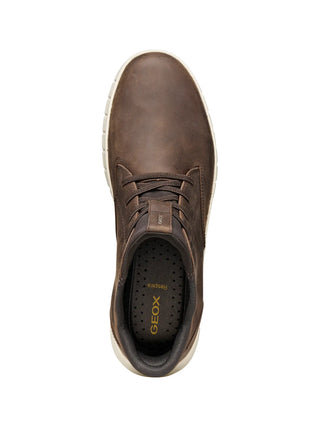 POLACCO UOMO - GEOX CAFFE - U56MAB 000FF 5