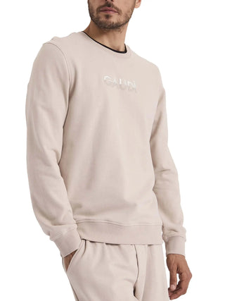 FELPA UOMO - GAUDI UOMO TORTORA - 621GU64025