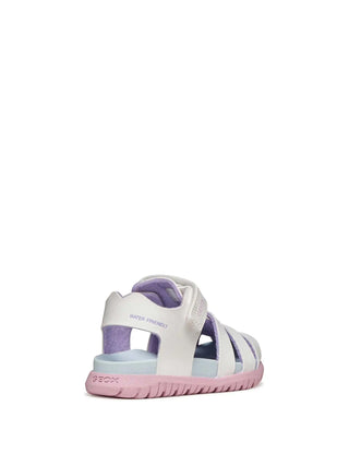 RAGNETTO BAMBINA - GEOX BIANCO-ROSA - B556BA 000BC 4